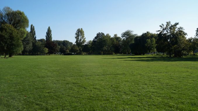 Grosse Wiese Insel Grafenwerth