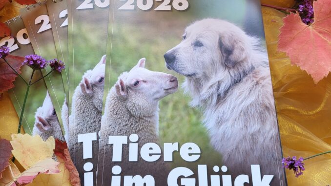 Tierschutz Siebengebirge Tiere im Glück Kalender 2026